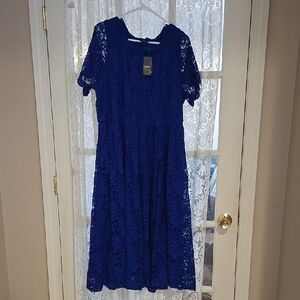 Torrid Blue Lace Dress